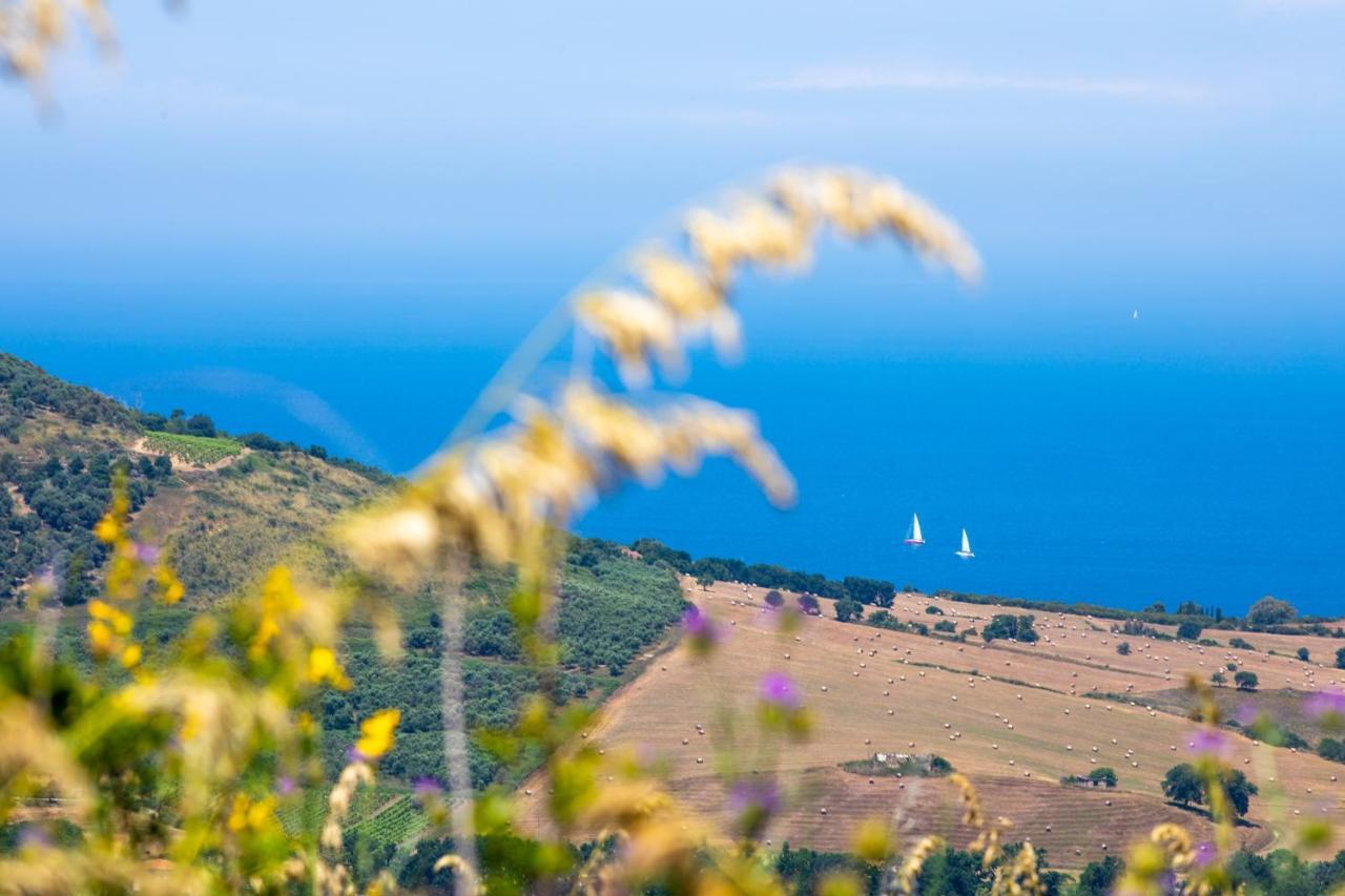 Il Panorama Housing Cilento Aparthotel Santa Maria di Castellabate Exterior photo