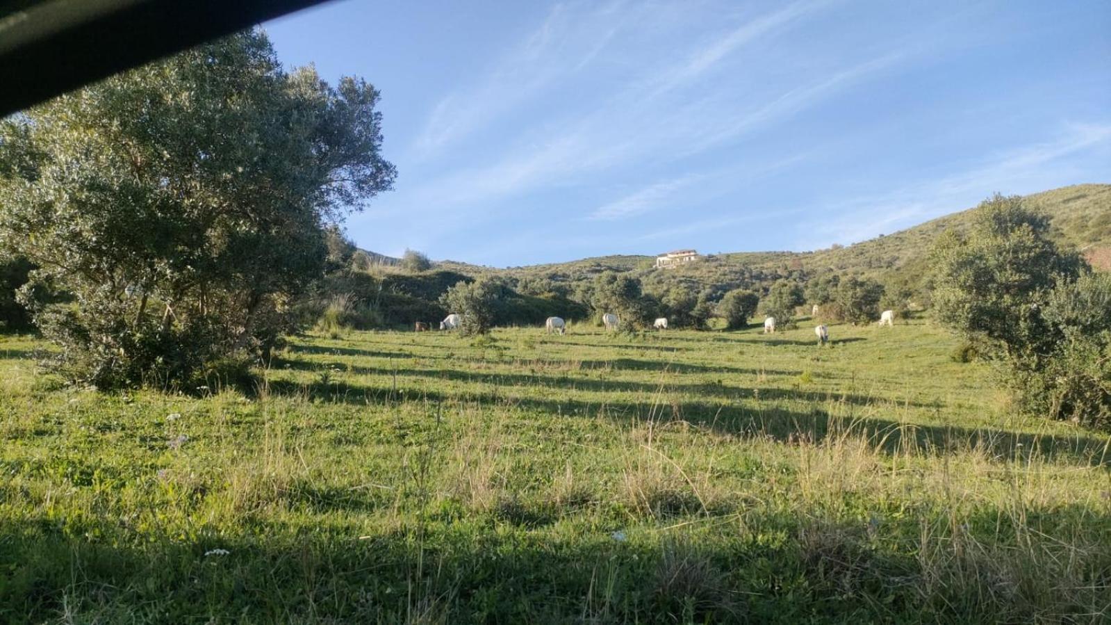 Il Panorama Housing Cilento Aparthotel Santa Maria di Castellabate Exterior photo