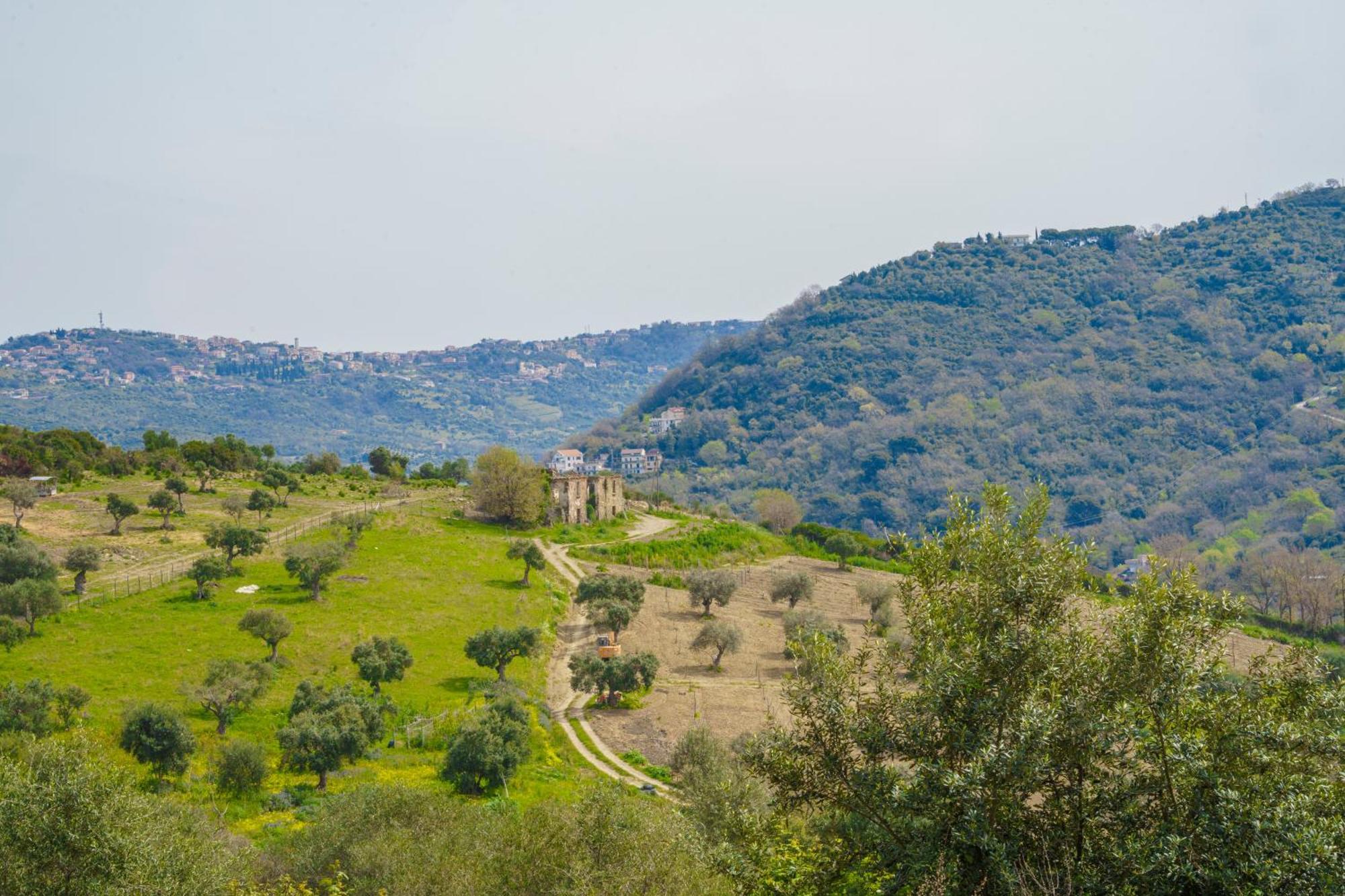 Il Panorama Housing Cilento Aparthotel Santa Maria di Castellabate Exterior photo